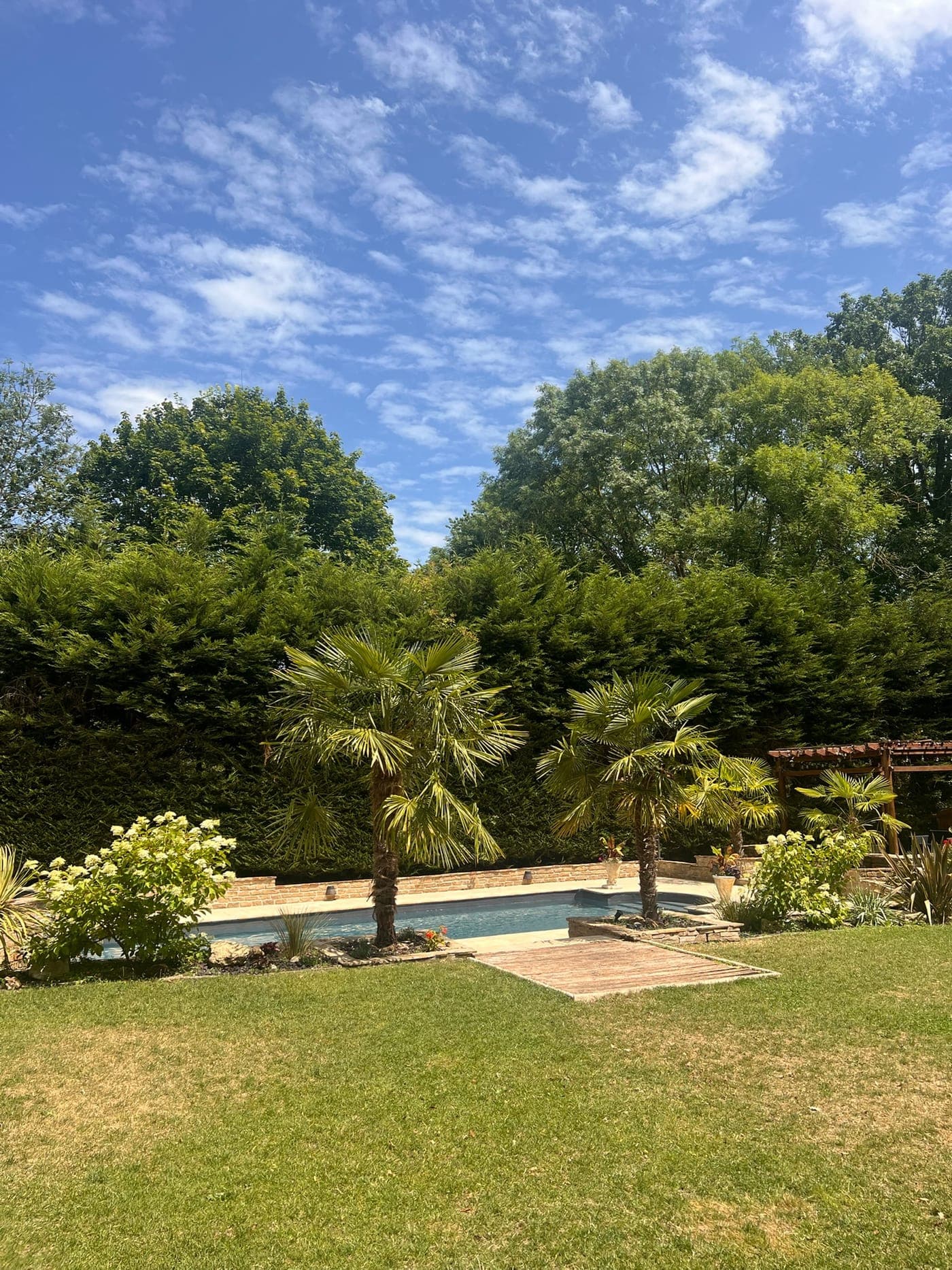 Le grand jardin arboré et la piscine